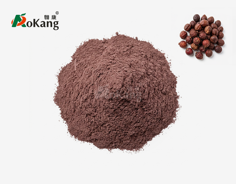 Schisandra Chinensis Powder
